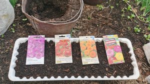 Сеем море цветов для огорода вместе с вами 27 апреля крутые новинки!