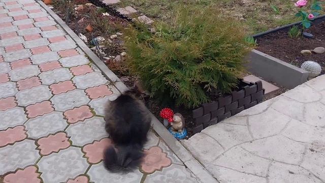 Влог. Будни понедельника. Работа в саду.