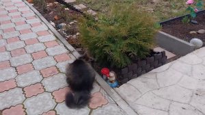 Влог. Будни понедельника. Работа в саду.