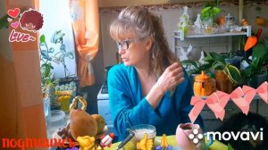 🚀🖋️ ВСЕ РЕШЕНО ‼️ ПЕРЕХОДУ НА ПП💃🔥 МОИ БУДНИ 🚀🖋️