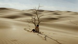 ДРЕВО ЖЕЛАНИЙ (притча)