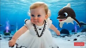 Какой океан вам больше всего нравится для погружения? | Выберите видео с океаном