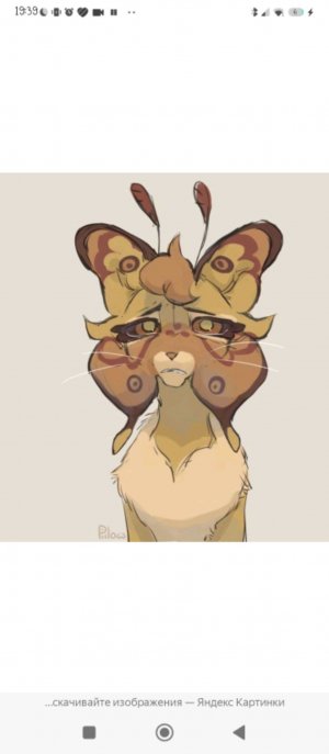 ух от за кожей