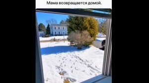 Когда узнали, что мама НЕОЖИДАННО возвращается домой