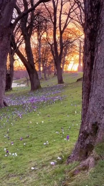 ТОЛЬКО ЗВУКИ ПРИРОДЫ ОКРУЖАЮТ И НИ ОДНОГО ЧЕЛОВЕКА.