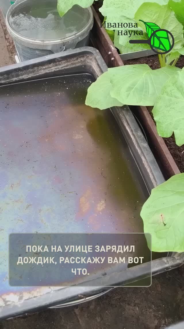 В 100 РАЗ ДЕШЕВЛЕ, ЧЕМ ЛЮБОЕ СРЕДСТВО ИЗ МАГАЗИНА! Хватит тратить деньги зря! Сэкономил = заработал.