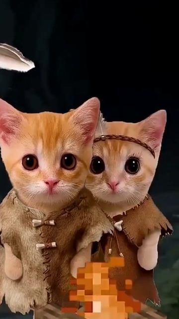 котята пояснят)