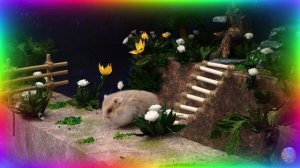 Приключение в лабиринте для хомяков — исследование мира кино! 🎬🐹 часть 5