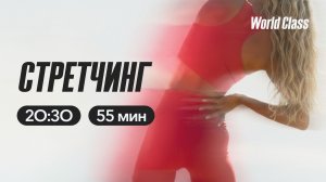 СТРЕТЧИНГ с Олегом Красиным | 27 апреля 2026 | Онлайн-тренировки World Class