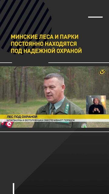 Минские леса и парки постоянно находятся под надежной охраной