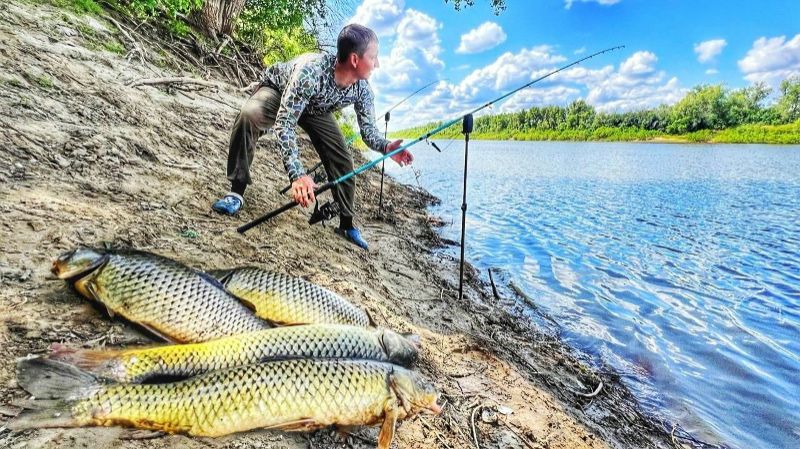 Сом и сазан на донки с берега!порыбачил от души!