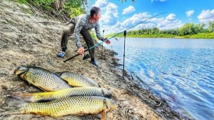 Сом и сазан на донки с берега!порыбачил от души!