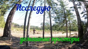 Исследую домашние просторы  часть 5 Апрель 2026 год