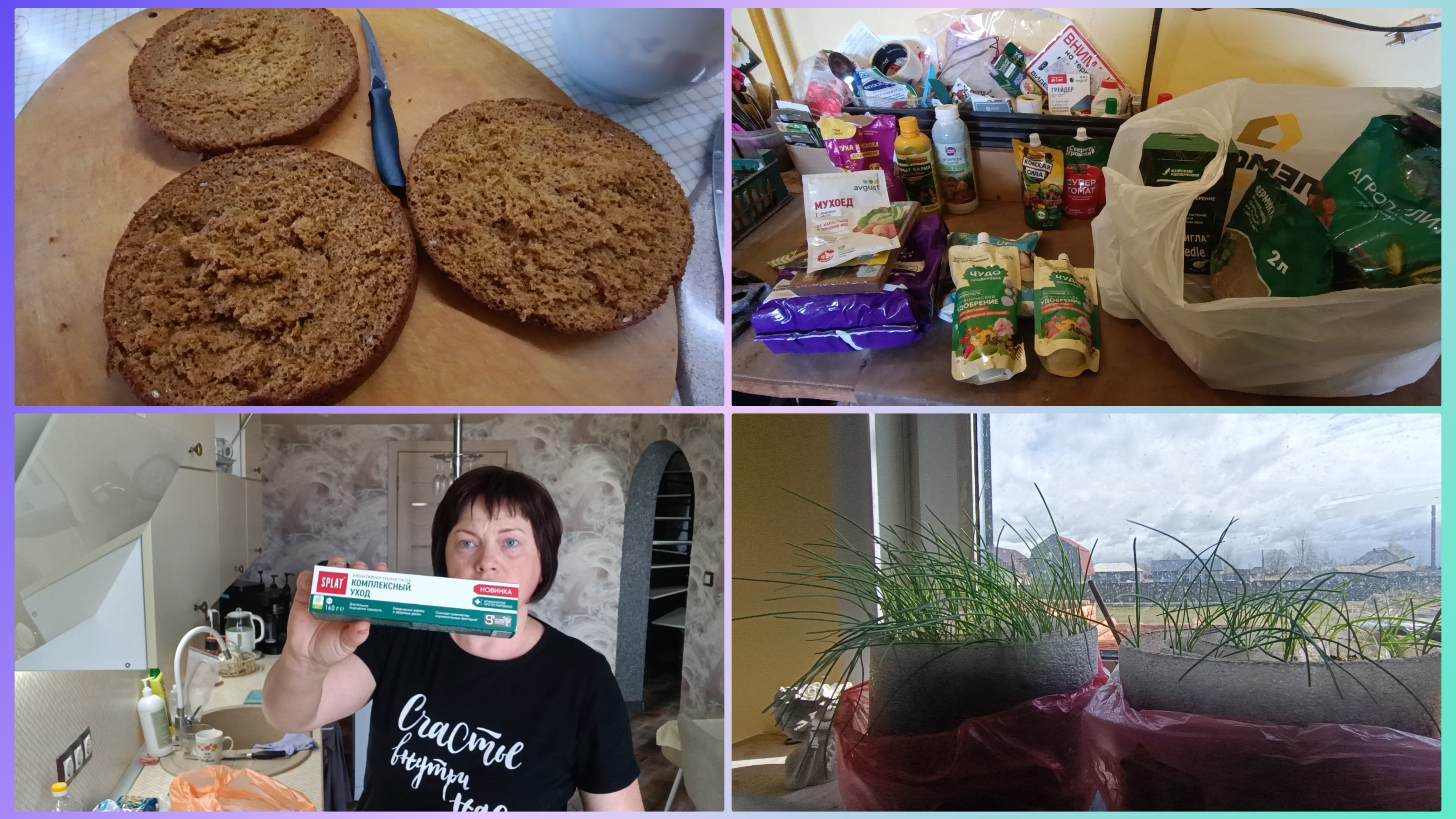 Рассада.Подмерзла.Уборка.Влог