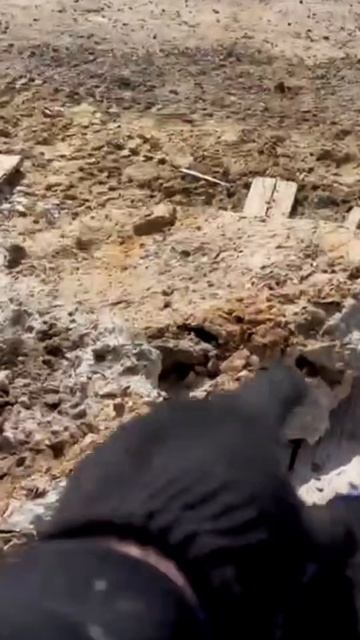 ОТЗЫВ ОТ КЛИЕНТА, УБОРКА И ОБСЛУЖИВАНИЯ ЧАСТНОГО ДОМА, ЛУЧШИЙ ПОМОЩНИК МАКСТЕМ МИНИ-ПОГРУЗЧИК