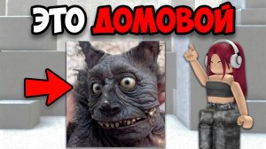 САМЫЕ СТРАШНЫЕ ТИК ТОКИ (12 часть)