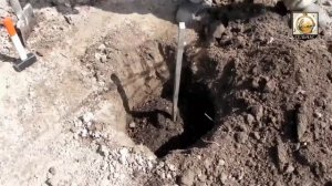 Как правильно посадить плодовое дерево.