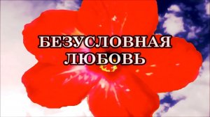 БЕЗУСЛОВНАЯ ЛЮБОВЬ. ЧТО ЗНАЧИТ ЛЮБИТЬ БЕЗУСЛОВНО?