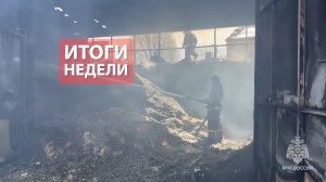 Оперативная обстановка на территории Кировской области с 20 по 26 апреля 2026