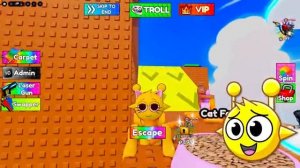 ROBLOX CAT TROLL TOWER...(Oren & Pinki)