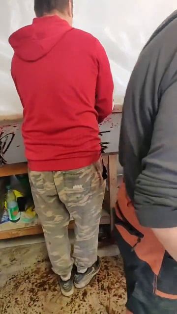 Привитые саженцы винограда. Как это делается | Донская Лоза