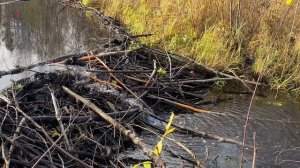 9763161450497_1920x1080