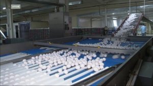 Цены на яйца выросли в Иркутской области