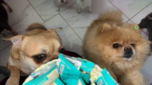 Дорогая Ириночка с Днем Рождения, счастья Вам и добра!