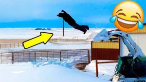 ПОДБОРКА ПРИКОЛОВ Я РЖАЛ ДО СЛЕЗ, ЛУЧШИЕ ПРИКОЛЫ 2026 СМЕШНЫЕ ВИДЕО, ДЕВУШКИ , ПОДБОРКА ПРИКОЛОВ