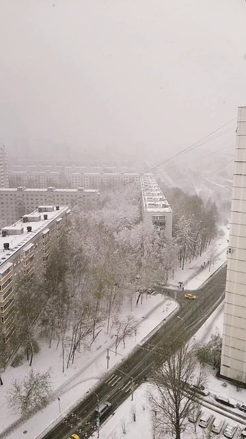 Что с погодой 
#москва #погода #конецапреля
#2026