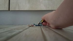 Черепашки ниндзя пластилновая анимация 1 сезон 24 серия Операция: спасение💁👐💪