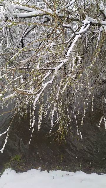 27.4.26 Москва, Южное Бутово