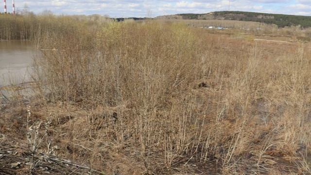 Между 2 - х рек в половодье.. Кемерово