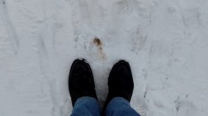 Снегопад в Москве