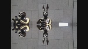 Клон - «Доктор Бум»