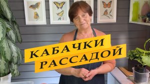 Лучший посев кабачков на рассаду.