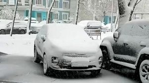 Снегопад в Москве, 27 апреля 2026