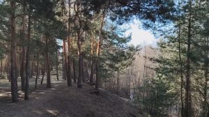 «Ищу себя». Немного о психологических проблемах