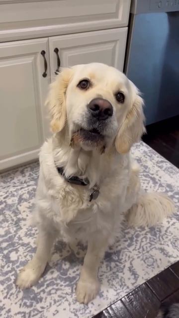 Фу, кислятина🥴))