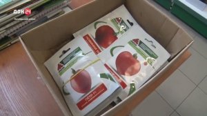 Проверка семян в рознице