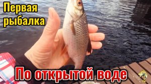 Первый раз на открытой воде весной 26 года. Плотва как из пулемёта.