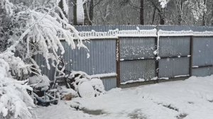 Хроника дачной жизни.
26,27 апреля 26г.