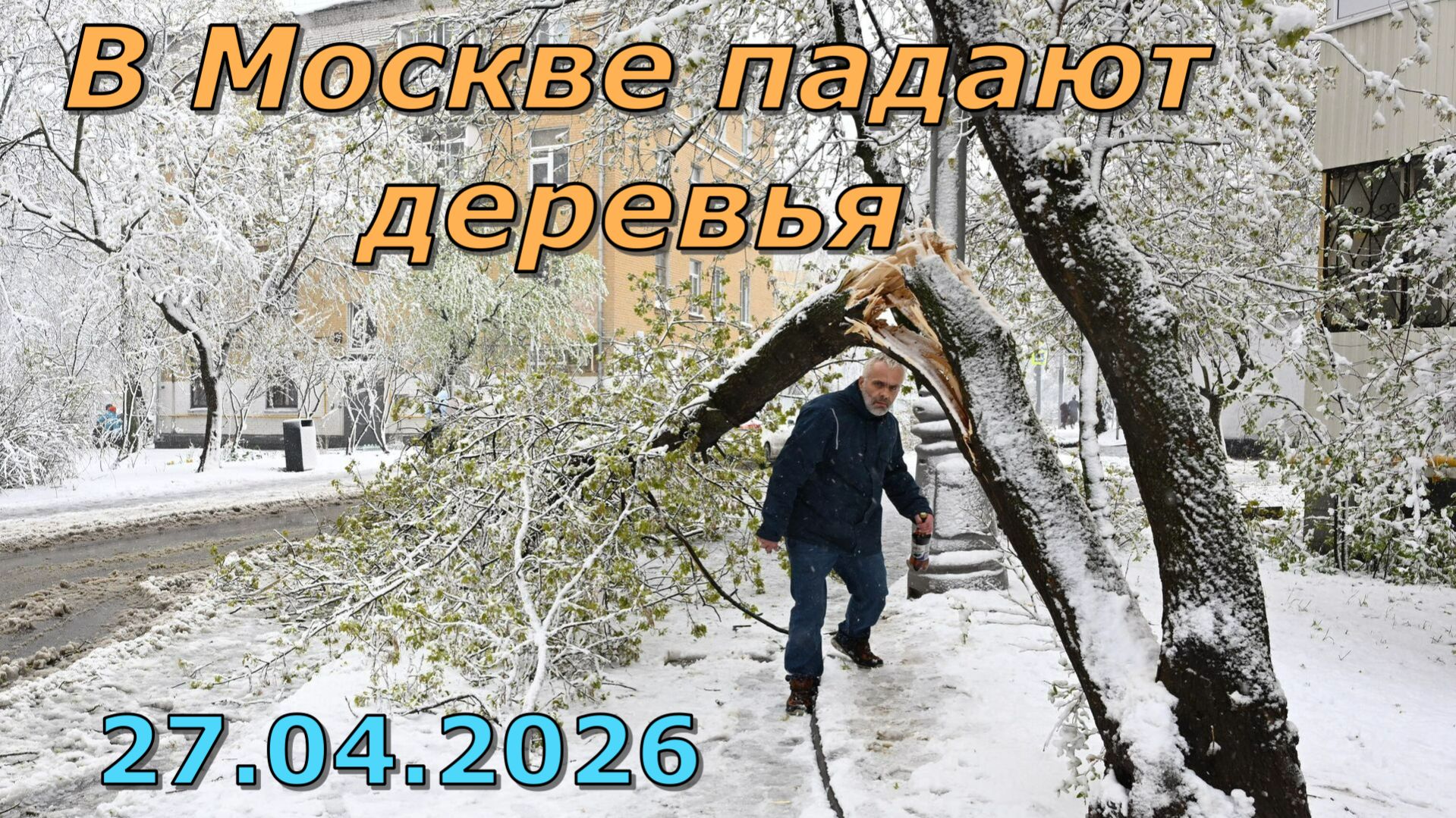 27.04.2026 г. В Москве падают деревья смотреть онлайн