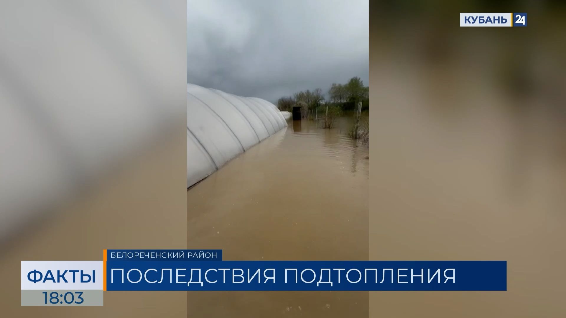 Эксперты оценили последствия подтопления ягодных хозяйств в Белореченском районе