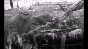 «Давно мы дома не были»