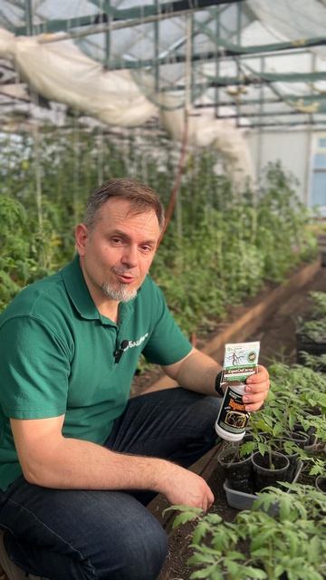 Забудьте о сложностях пересадки! «КорнеСил»