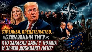 «Папочка Трамп» бросил Европу, а пули засвистели в Вашингтоне: шокирующая хроника безумной недели
