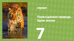 Первозданная природа. Эдем жизни 7 серия (документальный сериал, 1997)