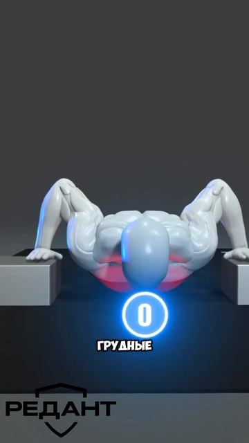 Хочешь грудные, которые растут даже без штанги? 🔥