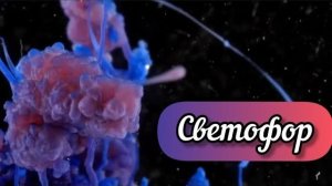 Химический Светофор